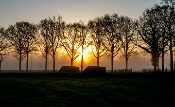 Het bunkerpad bij Landgoed Rhijnauwen tijdens zonsopkomst van Arthur Puls Photography