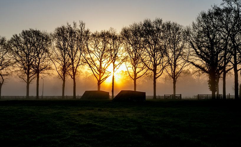 Le chemin du bunker à Landgoed Rhijnauwen au lever du soleil par Arthur Puls Photography