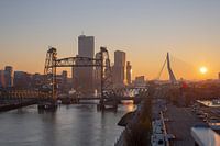 Rotterdam