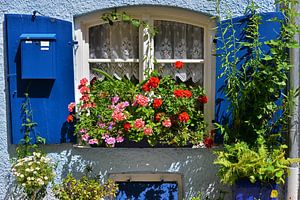 Flower window by Ingo Laue