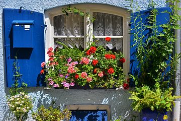 Blumenfenster von Ingo Laue