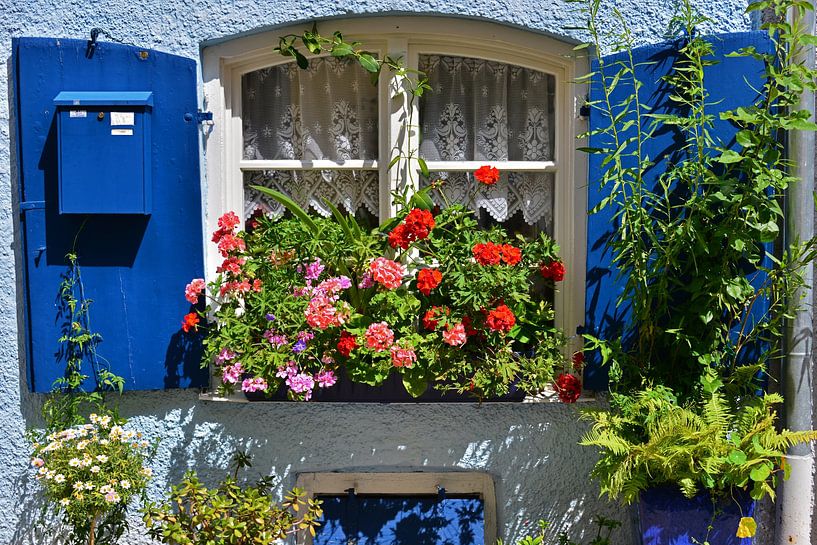Fenêtre à fleurs par Ingo Laue