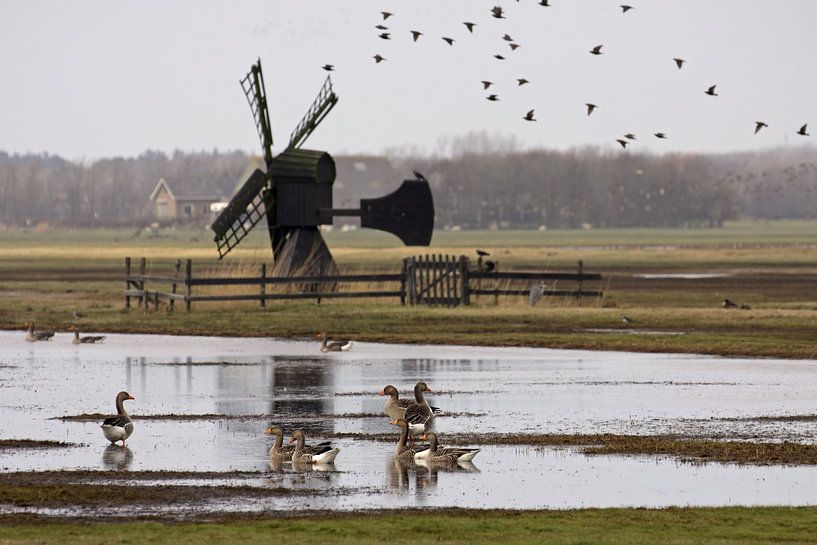 Meadow mill on Texel by Antwan Janssen