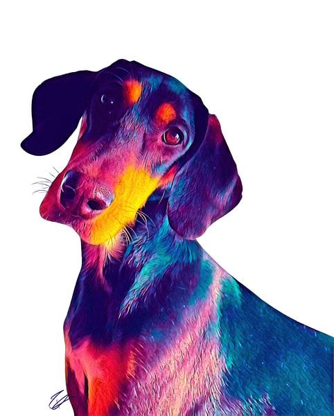 Finnischer Hund von Ruth Day