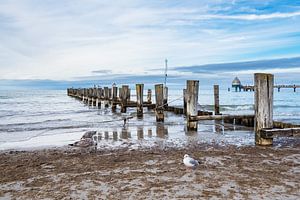 Buhnen am Strand von Zingst von Rico Ködder