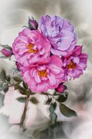 Zarte Rosenblüten