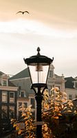 Utrecht im Sommerglühen
