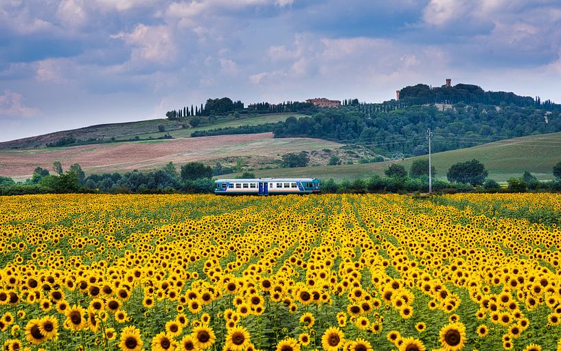 Sommerzeit...Sonnenblumen in der Toskana von Teun Ruijters