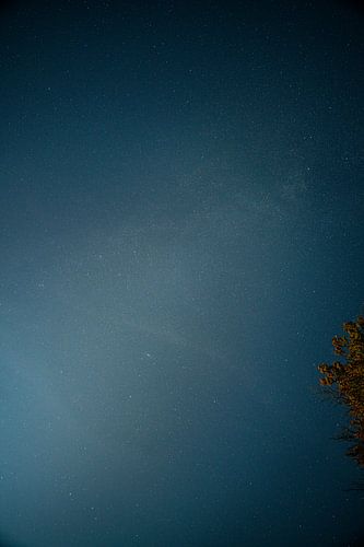 Sterren aan de nachtelijke hemel