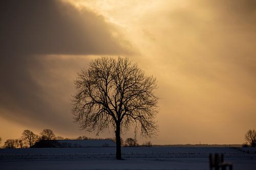 Ondergaande zon bij Nieuwe Statenzijl