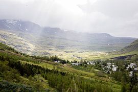 The sun breaks through by Tine Depré