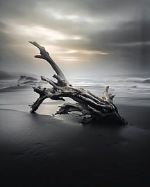 Strandgut