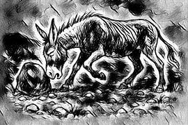 Ein Esel stolpert nicht zweimal über denselben Stein ( Sprichwort / Sprichwort