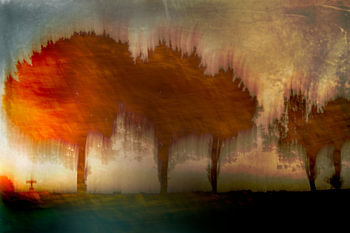 Dawn