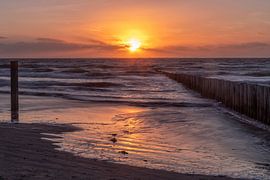 Beach Hollum in rosa