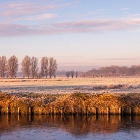 Winterlandschaft in Drenthe von Marga Vroom