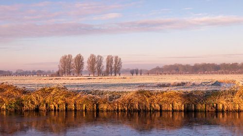 Winterlandschap in Drenthe