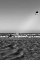 Zandvoort aan Zee