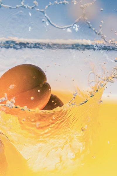 Abrikozen vallen in sap 3 van Marc Heiligenstein