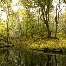 Forêt magique près de Haarlem 02 sur Arjen Schippers