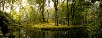 Magical forest near Haarlem 02 by Arjen Schippers