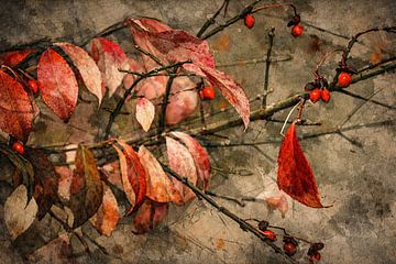 Abstract flower photo 5