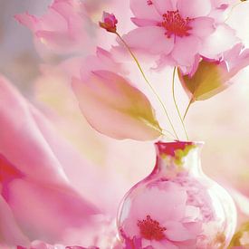 rosé by Andreas Wemmje