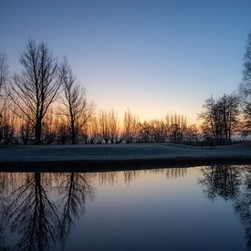 reflectie van Sebastian Stef