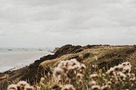 Normandy 2 by Sanne van Es