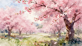 Kirschblütenallee im Frühling