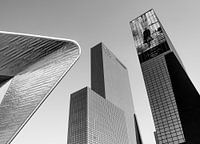 Les trois géants de Rotterdam