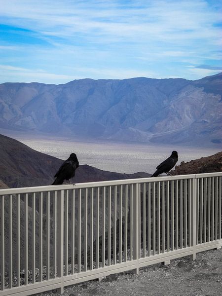 Piep Show par Mona Stut