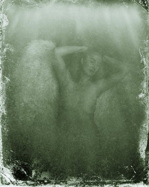 Ange 20 par Jeroen Schipper