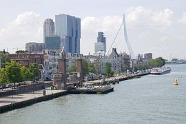 Uitzicht Kop van zuid van Sarith Havenaar