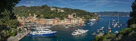 Panorama van haven en kust Portofino Italie met jachten