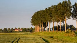 Polder landschap in avondlicht von Bram van Broekhoven