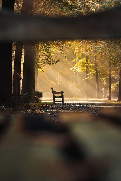 Friedhof Rusthof in Leusden von Gerard Glavimans