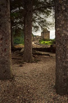 Eilean Donan (Dornie) Castle through the woods