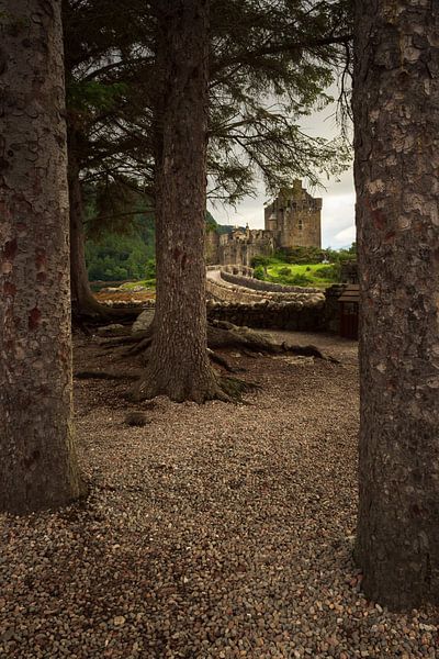 Eilean Donan (Dornie) Castle through the woods van Luis Boullosa