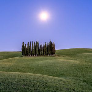 Vollmond in der Toskana I