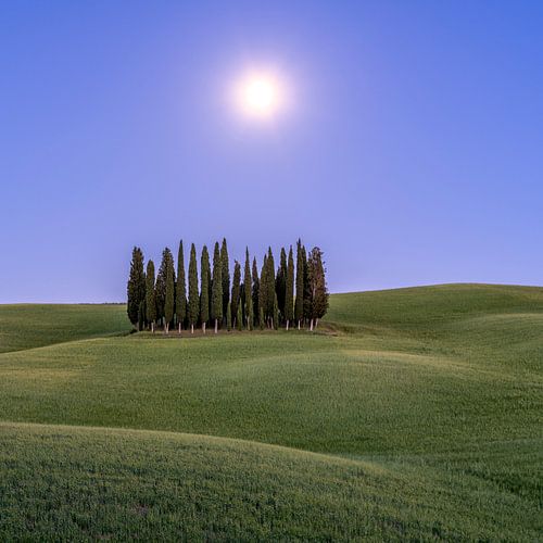 Volle Maan in Toscane I