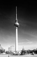 BERLIN Fernsehturm | Monochrom