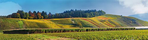 Golden autumn near Waldkirch 1.0 Panorama