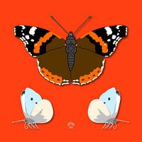 Butterflies