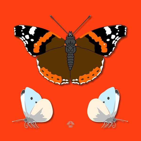 Butterflies by Marco Roling