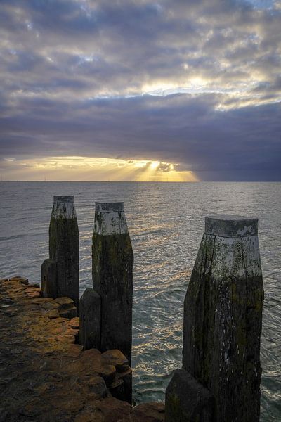 Blick auf das IJsselmeer von Dirk van Egmond