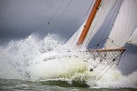 Lemsteraak in Aktion