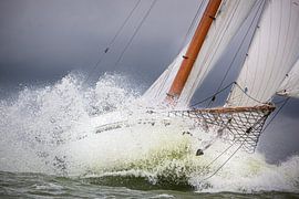 Lemsteraak in Aktion von Jasper van Staveren