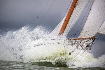 Lemsteraak en action