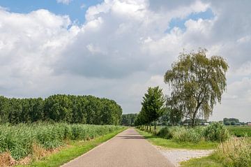 Links Nederland, rechts België van Richard Wareham
